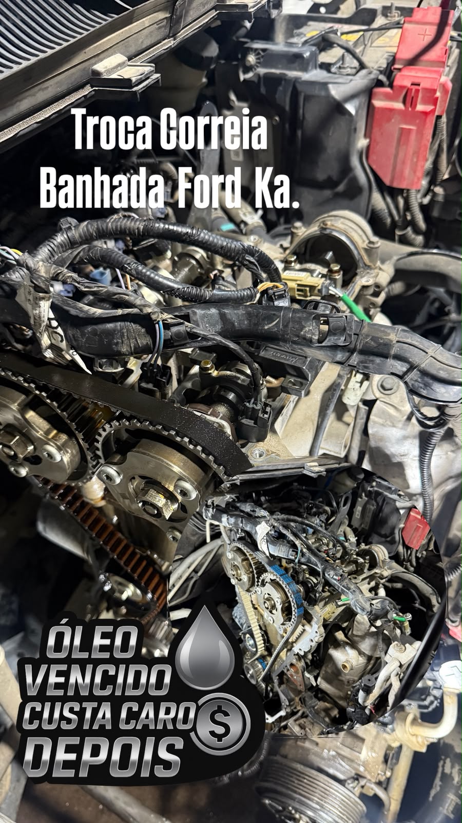 Troca de correia banhada em Ford Ka